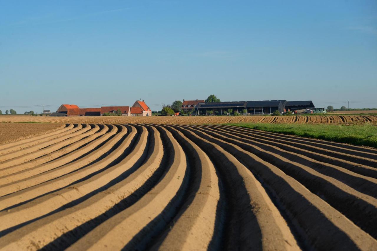 Hoeve Ten Rooden Duifhuize Sint-Denijs Esterno foto